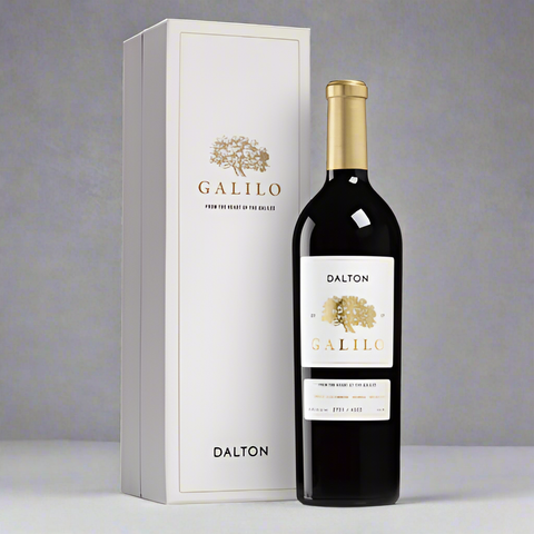 Dalton Galilo