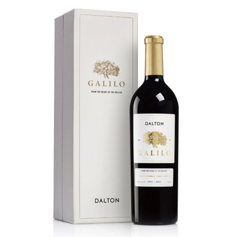 Dalton Galilo image 0