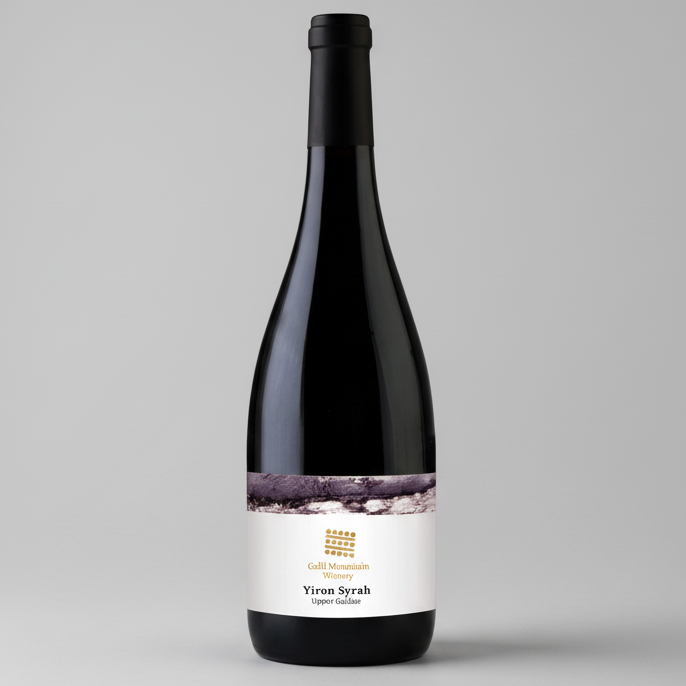 Galil Mountain Yiron Syrah 2021