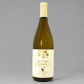 Twin Suns Buttery Chardonnay